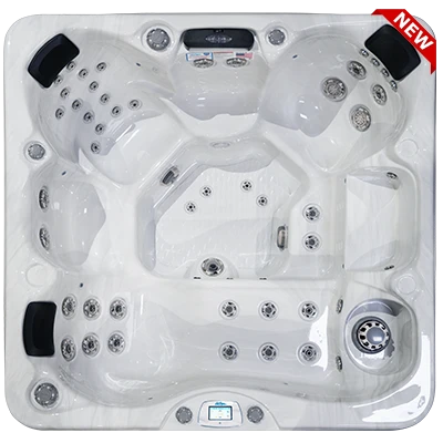 Avalon-X EC-849LX hot tubs for sale in Brondby